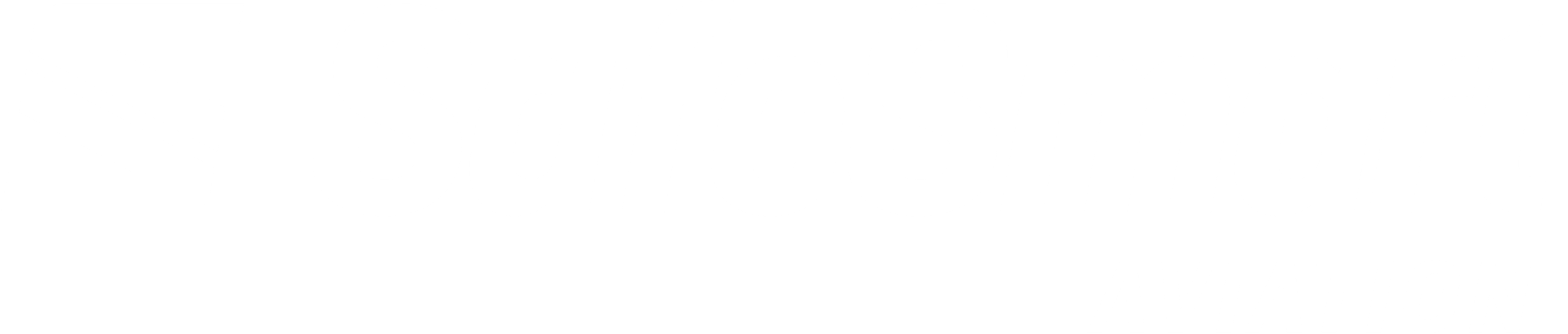 SafeSmart  Aviation  Reversed RGB scaled
